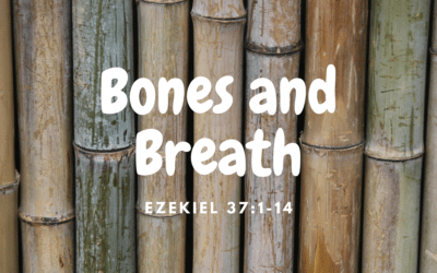 Bones and Breath 03.29.20