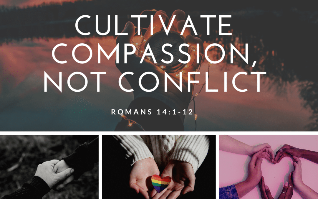 Cultivate Compassion, Not Conflict 09.13.20