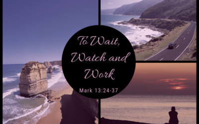 To Wait, Watch and Work 11.29.20
