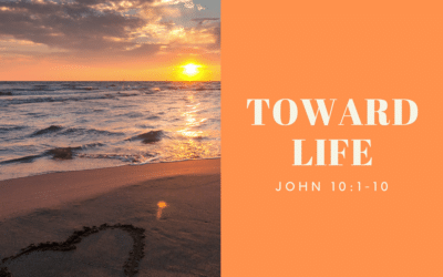 Toward Life 05.03.20