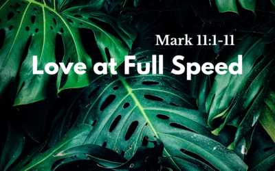 Love at Full Speed 3.28.21