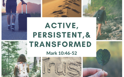 Active, Persistent, and Transformed 10.24.21