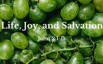 Life, Joy, and Salvation 1.16.22