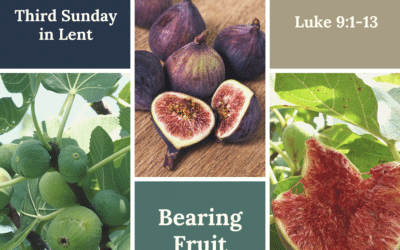 Bearing Fruit 3.20.22