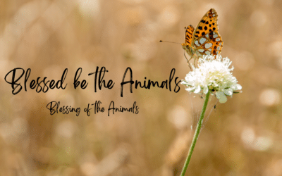 Blessed be the Animals 8.28.22