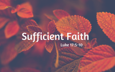 Sufficient Faith 10.2.22