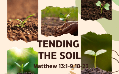 Tending the Soil 7.16.23