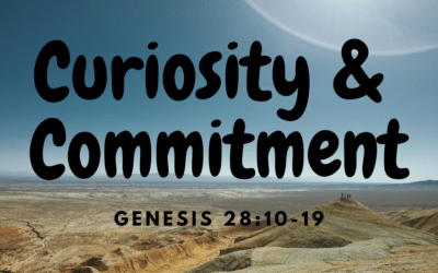 Curiosity and Commitment 7.23.23