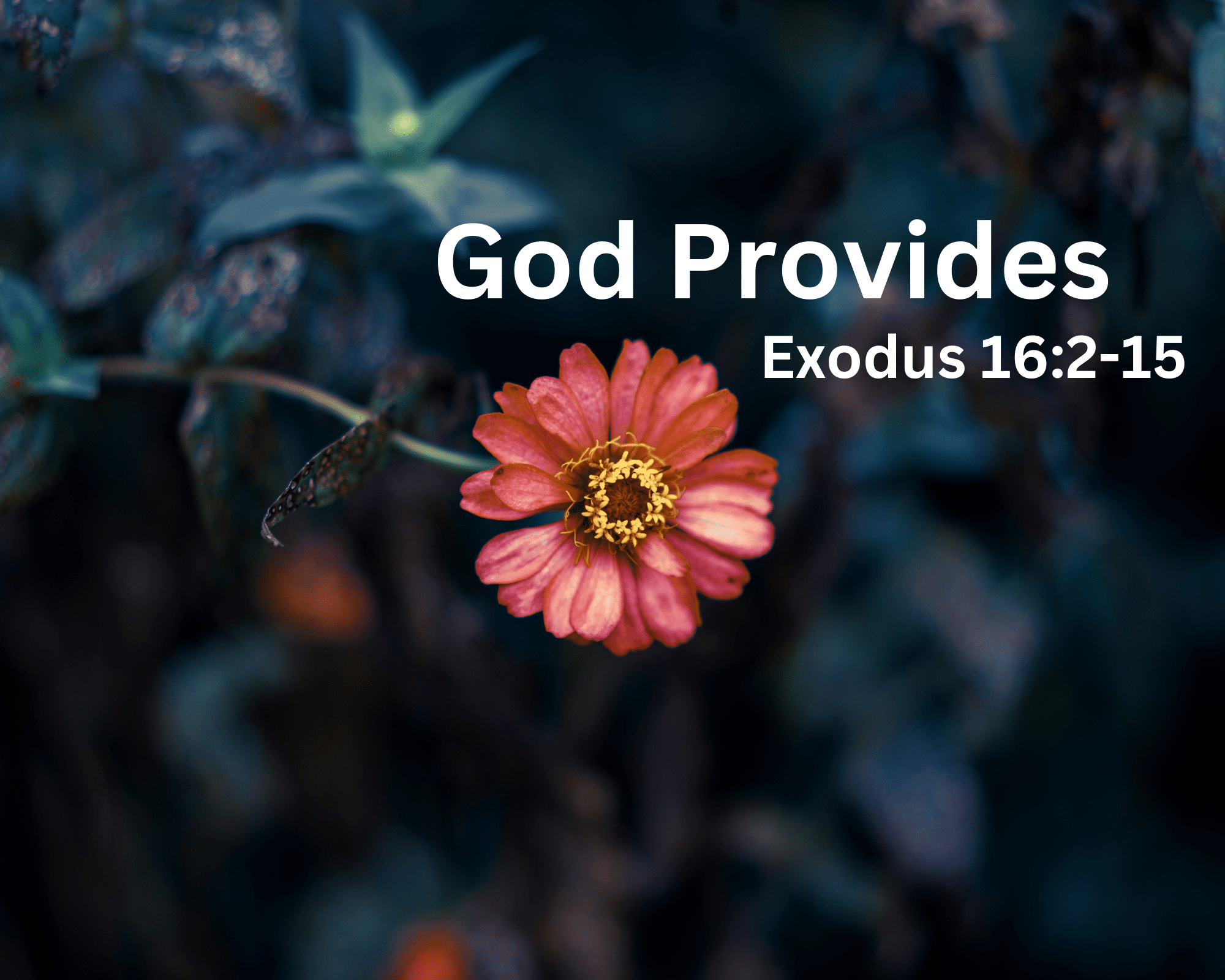 God Provides 9.24.23