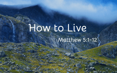 How to Live 11.5.23