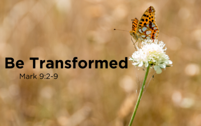 Be Transformed 2.10.24