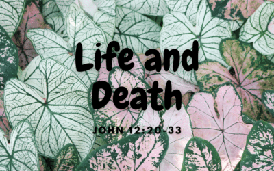 Life and Death 3.17.24
