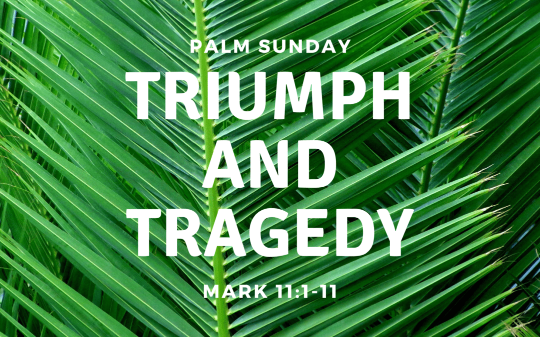 Triumph and Tragedy 3.24.24