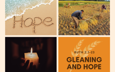 Gleaning and Hope 6.14.26