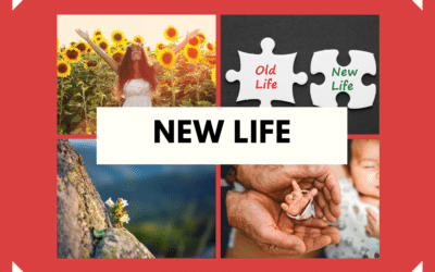 New Life 6.28.26